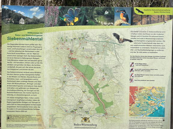 22-04-15 12-46-15 0488